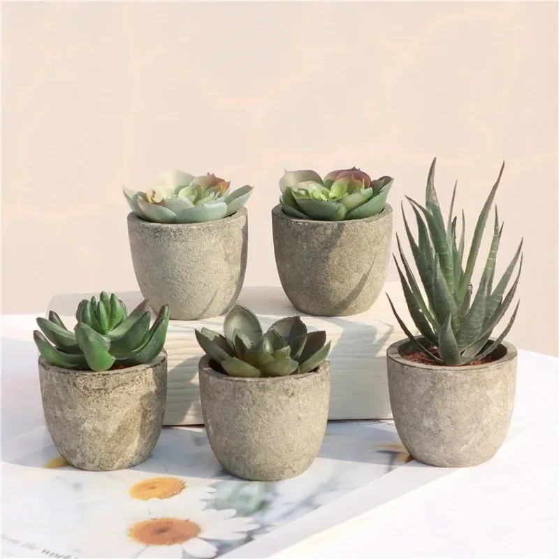 Mini Kunstmatige Aloë Planten  - Bonsai Garden Sushi recensie en prijs