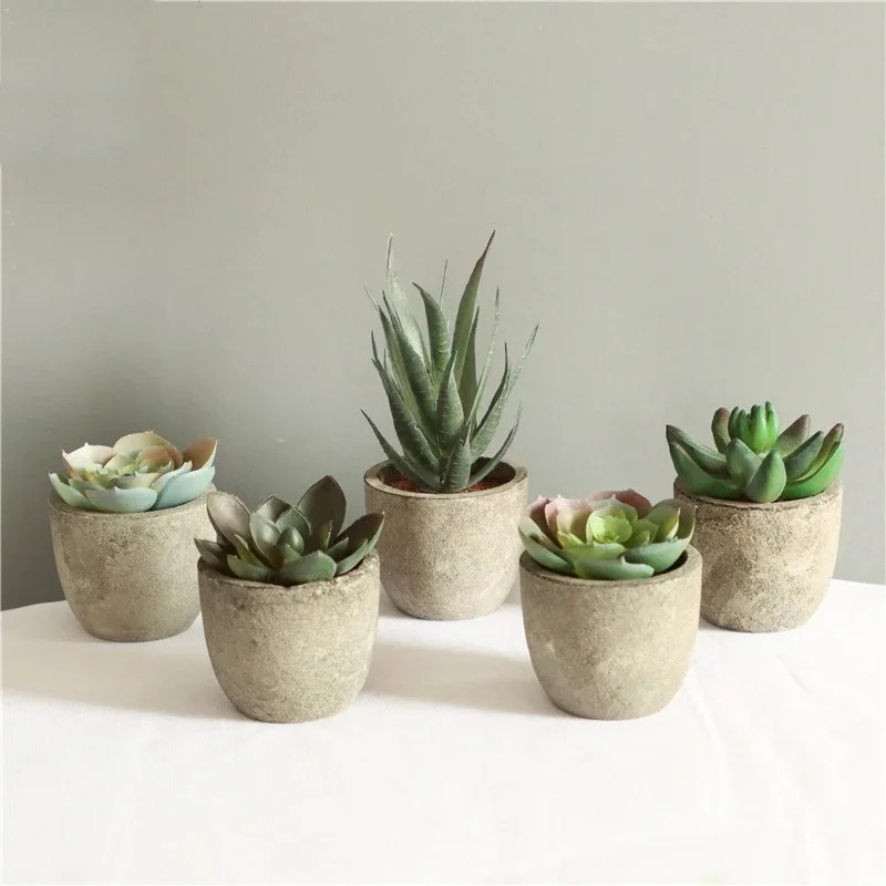 Mini Kunstmatige Aloë Planten  - Bonsai Garden Sushi recensie en prijs