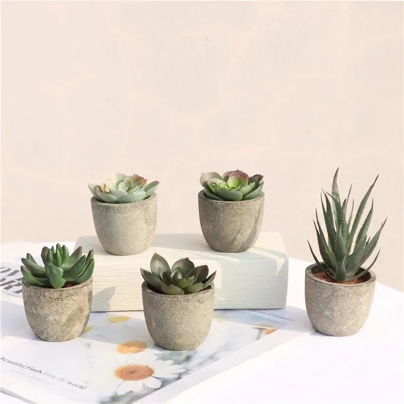 Mini Kunstmatige Aloë Planten  - Bonsai Garden Sushi recensie en prijs