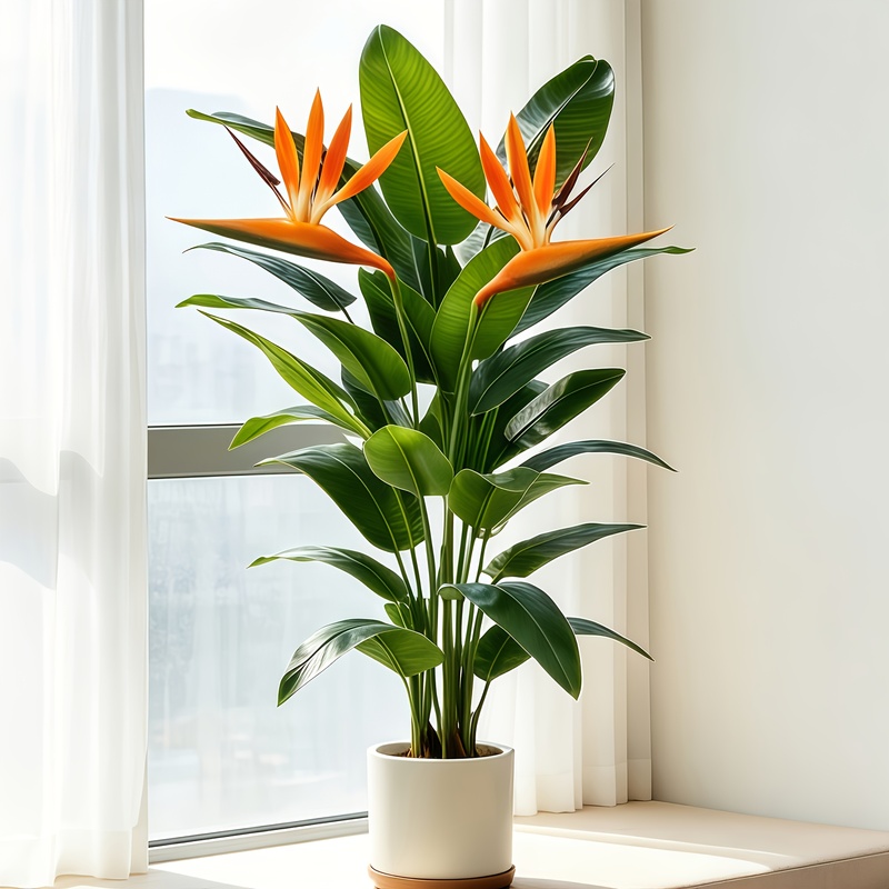 Levensechte kunstmatige banane - Bonsai Garden Sushi recensie en prijs