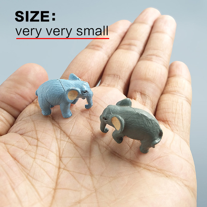 10 Stuks Kleine Olifant Bonsai - Bonsai Garden Japan recensie en prijs